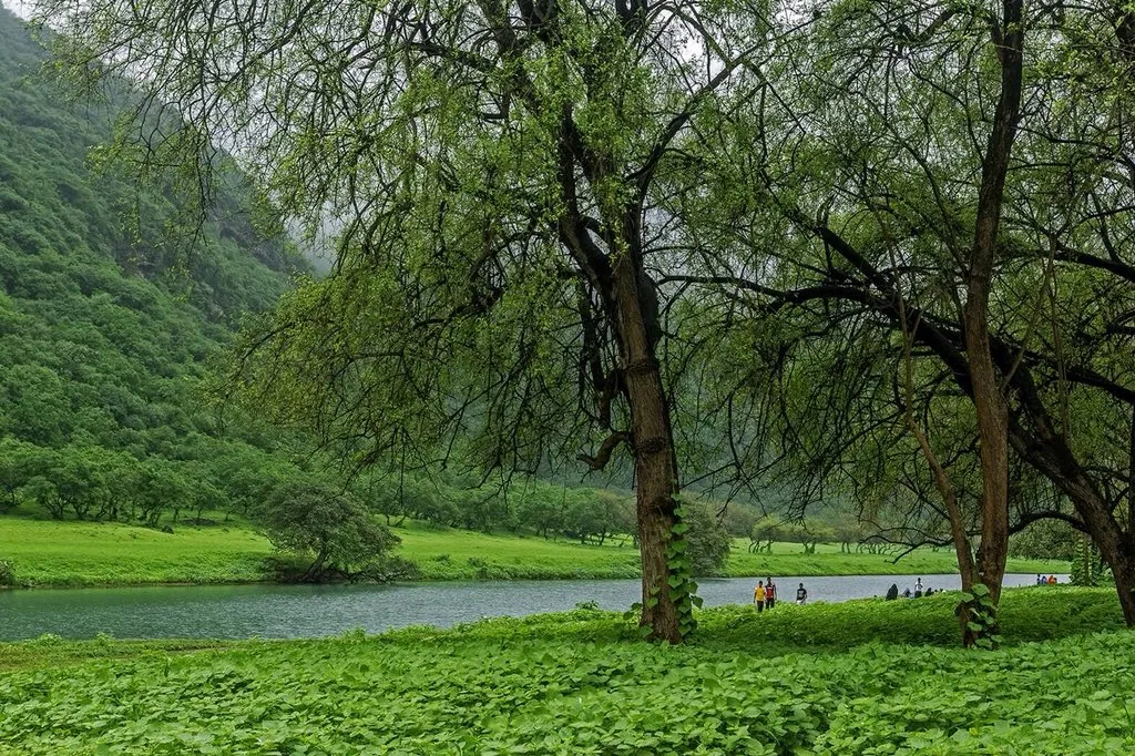 Santani Salalah - 2