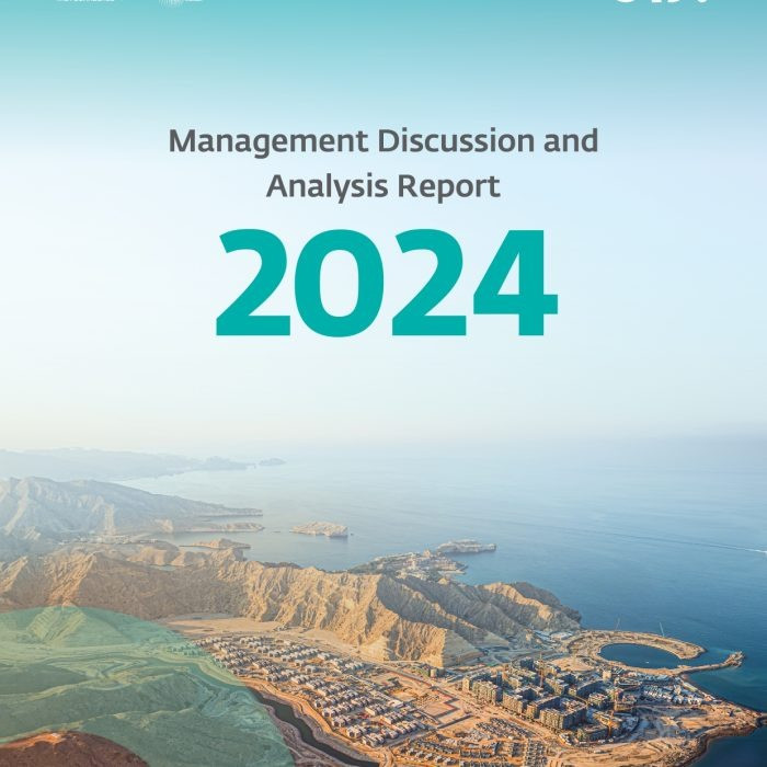 Management Discussion and Analysis Report 2024